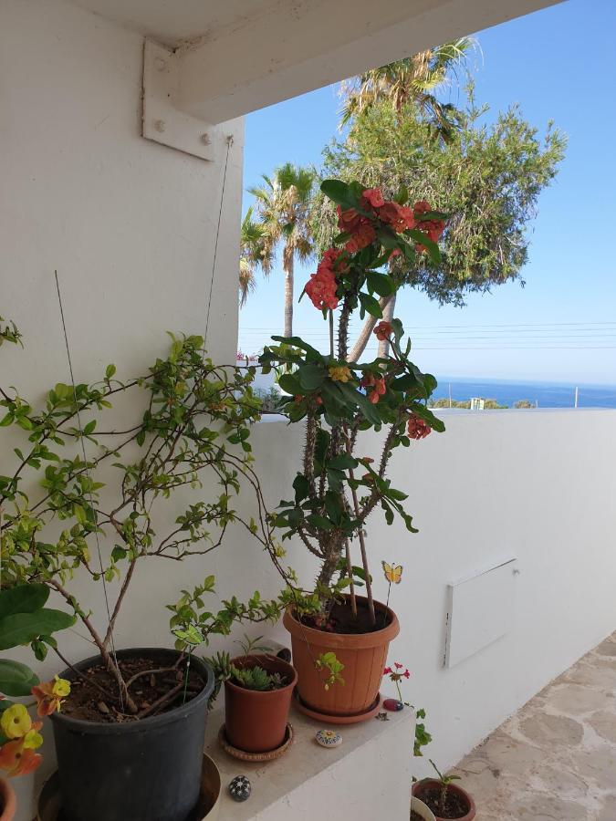 Klorakas Ikaria Village-Ground Floor Apartment No 4 מראה חיצוני תמונה