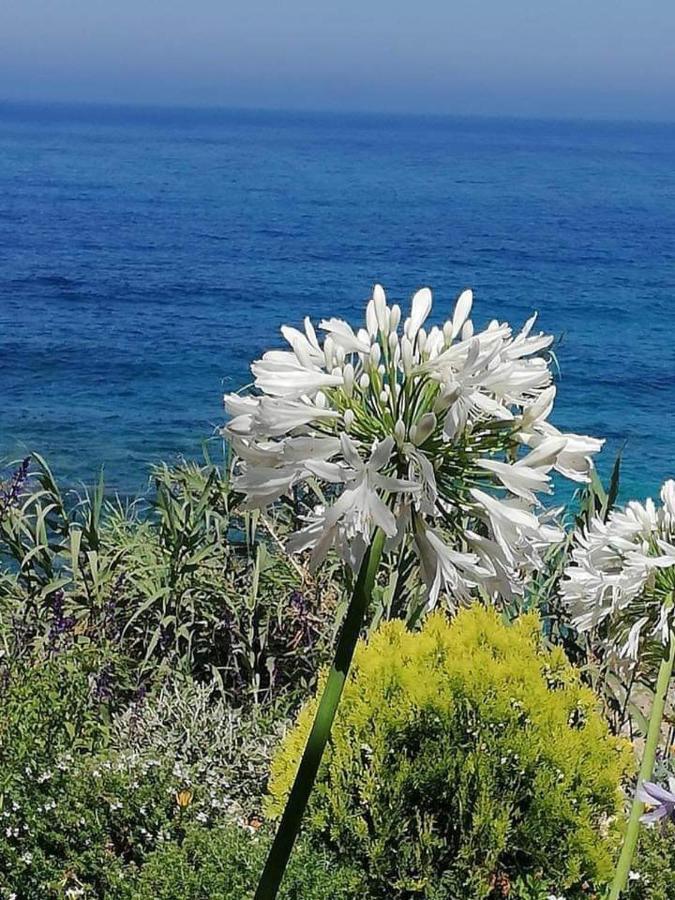 Klorakas Ikaria Village-Ground Floor Apartment No 4 מראה חיצוני תמונה
