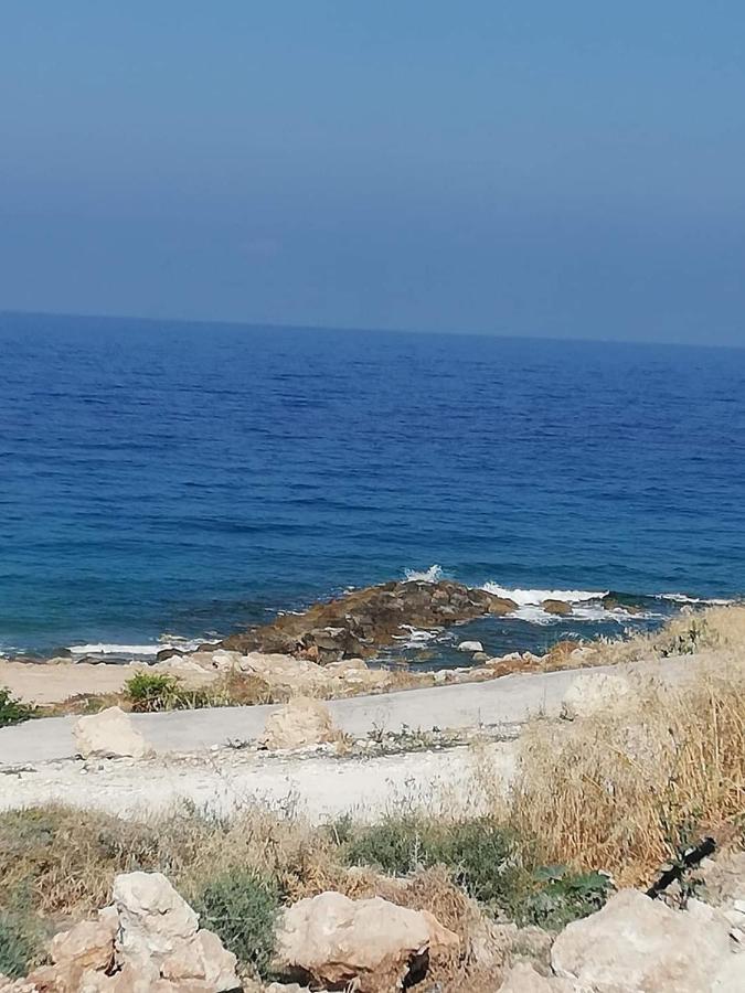 Klorakas Ikaria Village-Ground Floor Apartment No 4 מראה חיצוני תמונה
